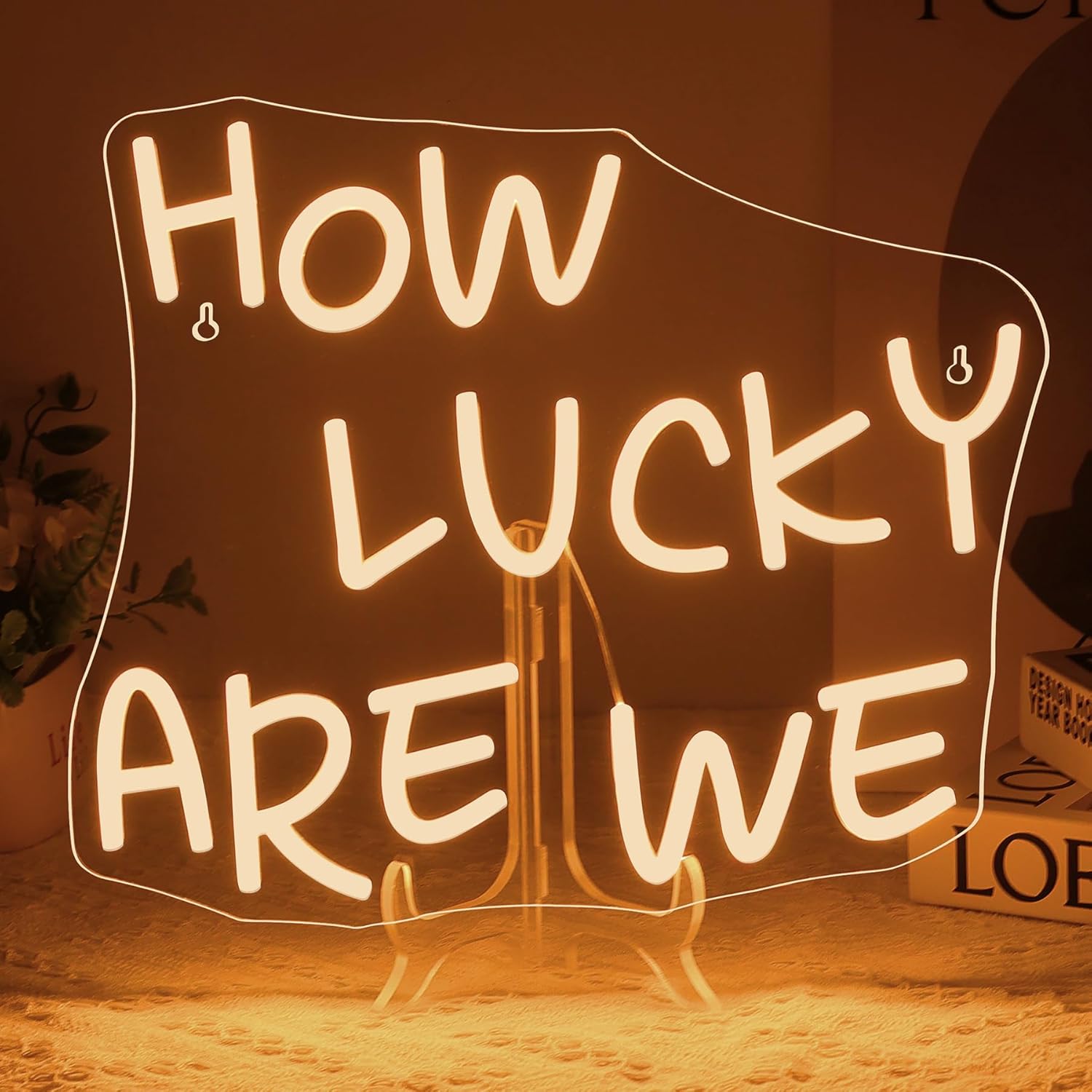 Outdoor Lighting How To - How Lucky Are We Neon Sign