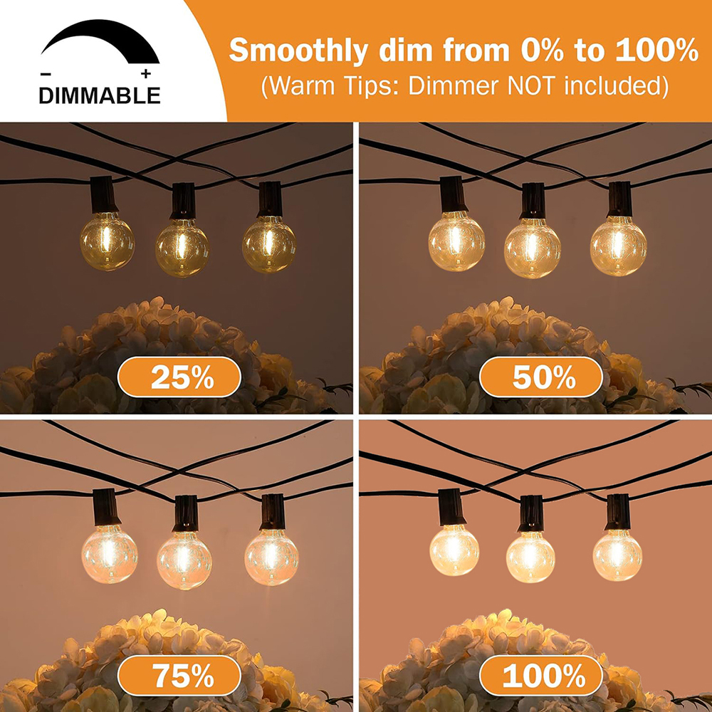 7/26M Festoon LED Globe String - Outdoor Lighting Ideas For Party recensie en prijs