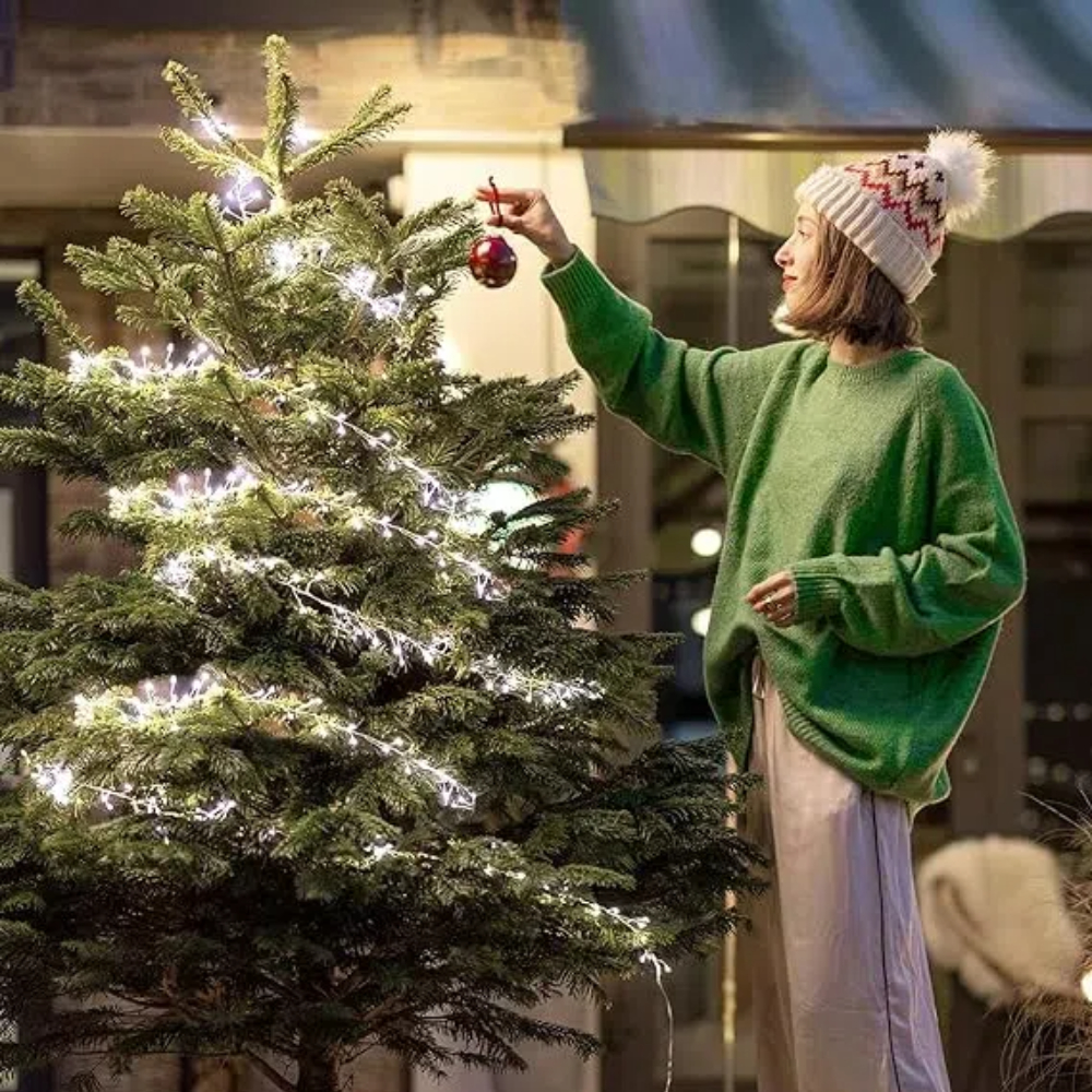Christmas decorations 2024 Str - Xmas Outdoor Lighting Decorations recensie en prijs